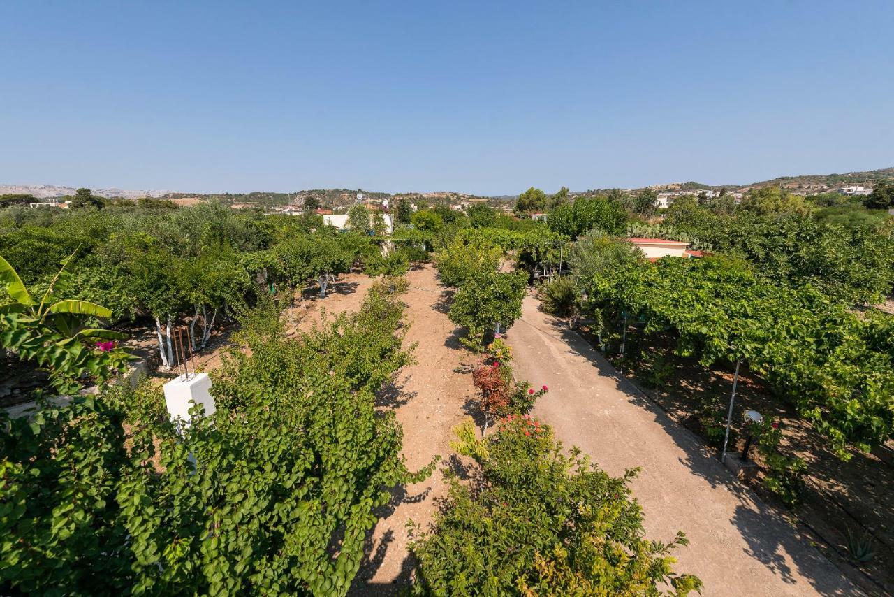 Eleftherias Garden House Afandou Exterior foto